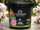 Краска акриловая без запаха Colorina AQUA ENAMEL 0,9 л сакура - изображение 1