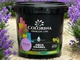 Краска акриловая без запаха Colorina AQUA ENAMEL 0,9 л лаванда - изображение 1