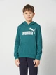 Детское худи для мальчика Puma Essentials No.1 Logo 68490941 134-140 см Emerald Ice (4069161983832) - изображение 1