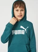 Подростковое худи для мальчика Puma Essentials No.1 Logo 68490941 170-176 см Emerald Ice (4069161983818) - изображение 4