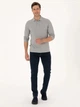 Поло довге чоловіче Pierre Cardin G021SZ082-000-2314481 (Gri) 2XL Сіре (8683859229246) - зображення 3