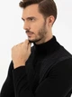 Гольф-водолазка мужская Pierre Cardin G021SZ0TK-000-1487785(Siyah) M Черная (8682734239264) - изображение 5