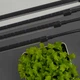 Фитолампа LED Grow Light USB на 4 лампы для растений и рассады, светодиодная лампа для роста и цветения - изображение 4