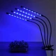 Фитолампа LED Grow Light USB на 4 лампы для растений и рассады, светодиодная лампа для роста и цветения - изображение 8