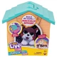 Игрушка-сюрприз Little Live Pets Дом мини оранжевый в ассортименте (26616) - изображение 1