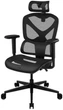 Крісло для геймера TX3 YTC Mesh Black (TEGC-3065001.11) - зображення 1