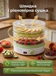 Сушарка для овочів і фруктів електрична потужна професійна сушка дегідратор для ягід яблук м'яса пастили з 5 рівнями сушіння електросушарка для грибів і зелені - зображення 2