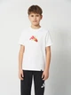 Подростковая футболка Adidas KA0536 146-152 см White (4068814071599) - изображение 1