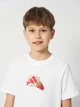 Подростковая футболка Adidas KA0536 158-164 см White (4068814071537) - изображение 4