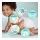 Підгузки Pampers Premium Care Розмір 6 (13-18 кг) 128 шт (8700216423700) - зображення 5
