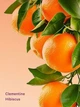 Подарочный набор Victoria's Secret VSX Clementine Hibiscus (body cream, mist, body wash) - изображение 4