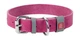 Нашийник шкіра 30-39 см 20 мм Waudog Classic Collar рожевий для собак - зображення 1