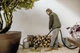 Karcher Пилосос професійний Karcher WD 3 V-17/4/20 1000Вт контейнер 17л 4.53кг - зображення 7