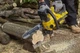 Пила цепная аккумуляторная STANLEY FATMAX SFMCCS630M1 - изображение 5