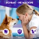 Спрей для догляду за зубами та яснами собак, котів з пробіотиками DentaBona від Probioday, 100 мл - зображення 3