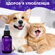Спрей для догляду за зубами та яснами собак, котів з пробіотиками DentaBona від Probioday, 100 мл - зображення 5