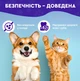 Спрей для догляду за зубами та яснами собак, котів з пробіотиками DentaBona від Probioday, 100 мл - зображення 6