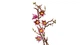 Конструктор Lego Botanicals Ветви магнолии 11510 - изображение 5