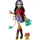 Кукла Monster High Монстро-классика Джинифайер (HYV58) - изображение 1