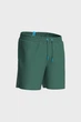Шорти Arena Solid Green 007137-651 M - зображення 3