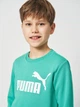 Подротсковый спортивный костюм (свитшот + штаны) для мальчика Puma Essentials No.1 Logo 68629640 158-164 см Vibrant Green (4069161971600) - изображение 5
