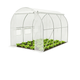 Садова теплиця парник 6м2 3х2х2 м LEOBRO Garden White MultiDoor LB-G111-WHT, плівка з фільтром УФ-4, біла - зображення 1