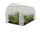 Садовая теплица парник 10м2 4х2.5х2 м LEOBRO Garden White MultiDoor LB-G112-WHT, с рамой из оцинкованной стали, белая - изображение 1