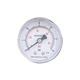 Манометр Thermo Alliance Standart 6 бар 1/4", задний подключение SD1716B - изображение 1