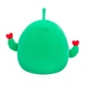 Мягкая игрушка Squishmallows – Друзья Кактусы (Cactus Friends) – 19 см - изображение 5