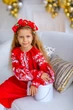 Вишита сукня для дівчинки Trend Листя 146 Червоний (SOLSUD2211) - изображение 7