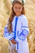 Вишиванка для дівчинки Trend Соня 110 Білий (SOLD2208) - изображение 1