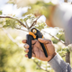 Секатор Fiskars X-series P961 Bypass до 26 мм (1057175) - изображение 3