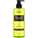 Шампунь kundal для підлітків проти жирності базилік та мандарин Kundal All Day Smell Cover Teens Shampoo Lime Basil & Mandarin 400 (8809809426613) - зображення 1