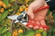 Садовый секатор FELCO 6 + Кобура для секатора FELCO 910 Black (Фелко 6+910) - изображение 3