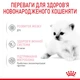 Молоко для новорожденных котят ROYAL CANIN BABYCAT MILK 0.3 кг - изображение 4