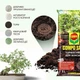 Торфосмесь для бонсаев Compo Sana 5 л - изображение 5