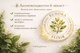 Легочный Эликсир Мирта 100 мл - натуральный БАД для поддержания дыхательной системы и легких - изображение 14