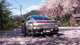 Гра Microsoft Xbox Series Forza Horizon 6 Російські Субтитри - зображення 5