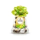 Цукерки Ферреро Роше Ferrero Rocher Bell 18шт - зображення 1