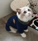 Костюм для котов (кошек) Baby M Темно-синий - изображение 3