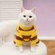 Флисовый костюм для котов (кошек) Шмель M Желтый - изображение 3