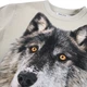 Реглан Molo Rollo Two Wolves, колір сірий, розмір 116 (1W25A411.9718) - зображення 3
