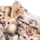 Свитшот Molo Disc Fuzzy Fluffy, цвет бежевый, размер 74 (4W25J203.9377) - изображение 4
