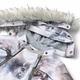 Зимний термокомбинезон Molo Pyxis Fur Bison, цвет голубой, размер 86 (5W25N105.9368) - изображение 5