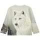 Реглан Molo Rollo Two Wolves, колір сірий, розмір 116 (1W25A411.9718) - зображення 2