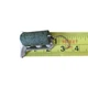 Воблер Bassday Pellet Pellet SS 20mm 1.9g, L-051 Transparent Olive Pellets, б/в - изображение 4