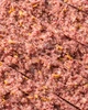 Кето-батончик Fizi Strawberry+almond, 45 г - зображення 2