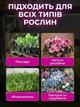 Фітолампа для розсади та рослин 2 гілки, 20 Вт на прищіпці фітосвітильник для кімнатних квітів, розсади, орхідей фіто лампа - изображение 2