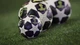 М’яч футбольний Adidas UCL Pro Finale 2025-2026 Budapest OMB JX9077 5 Білий (4068815110105) - зображення 6