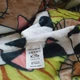 Постільна білизна KoTetextile плюшева велюрова сімейний 150-215 см (2шт) 70-70 2шт з резинкою коти різнобарвні - зображення 4
